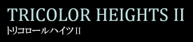 ȥꥳII